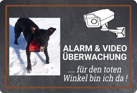 .. für den toten Winkel ... Hunde Schild informativ auffallend nachdrücklich schilder selbst gestalten