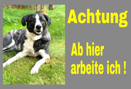 Ab hier arbeite ich! Hunde Schild informativ auffallend nachdrücklich schilder selbst gestalten