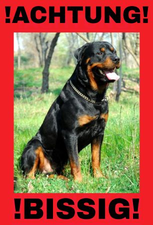 ACHTUNG BISSIG!! Hunde Schild informativ auffallend nachdrücklich schilder selbst gestalten