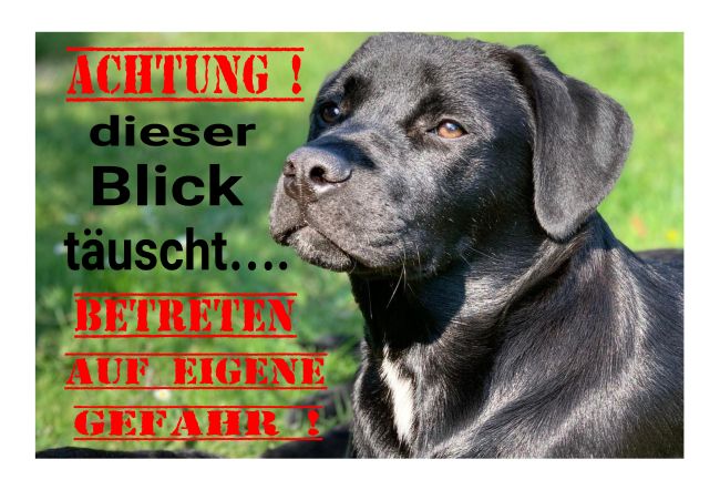 Achtung Hund Warnung-Zutrittverboten Schild spannend informativ auffallend nachdrücklich schilder selbst gestalten