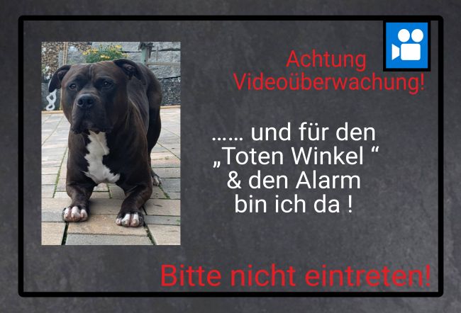 Achtung Videoüberwachung! Hunde Schild spannend bunt kreativ schilder selbst gestalten