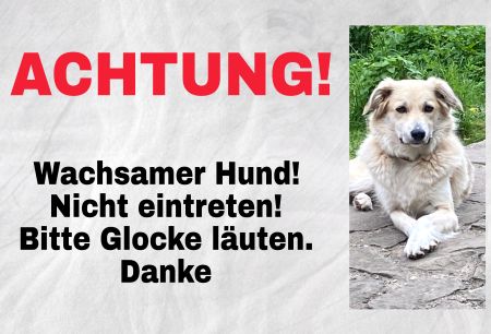 ACHTUNG! Wachsamer Hund Hunde Schild spannend kreativ informativ auffallend schilder selbst gestalten