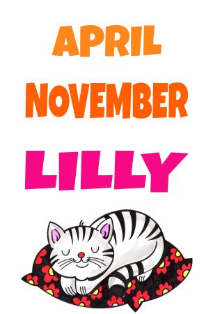 April / November / LILLY Katzen Schild kreativ informativ auffallend lustig schilder selbst gestalten