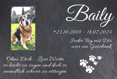 Baily Hunde Schild informativ auffallend schilder selbst gestalten