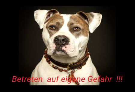 Betreten auf eingene Gefahr Hunde Schild smart spannend auffallend nachdrücklich schilder selbst gestalten