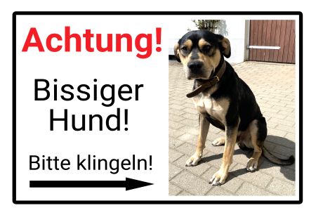 Bissiger Hund Hunde Schild kreativ informativ auffallend schilder selbst gestalten