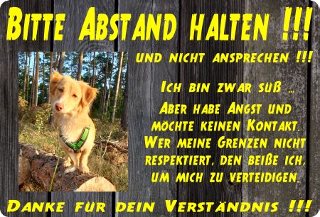 BITTE ABSTAND HALTEN !!! Hunde Schild spannend kreativ informativ auffallend schilder selbst gestalten