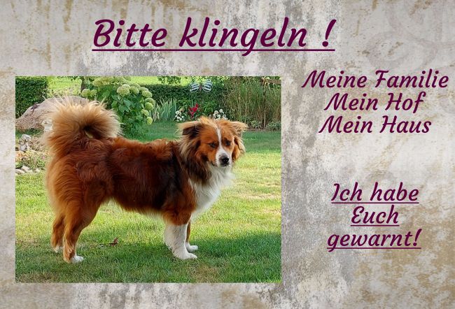 Bitte klingeln! Hunde Schild bunt kreativ spritzig schilder selbst gestalten