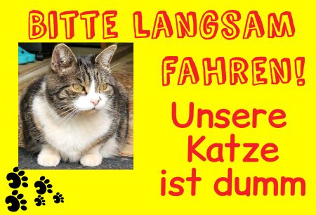 Bitte langsam fahren Katzen Schild kreativ informativ auffallend lustig schilder selbst gestalten