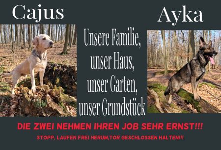 Cajus & Ayka Hunde Schild bunt spritzig auffallend schilder selbst gestalten