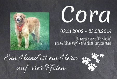 Cora Gedenktafel Schild smart informativ auffallend schilder selbst gestalten