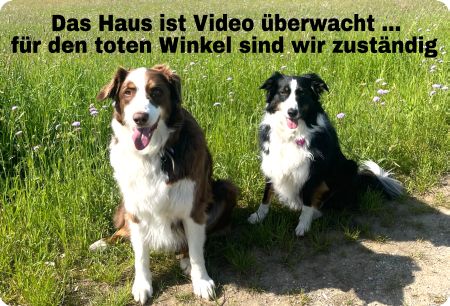 Das Haus ist Video überwacht Hunde Schild bunt informativ auffallend schilder selbst gestalten