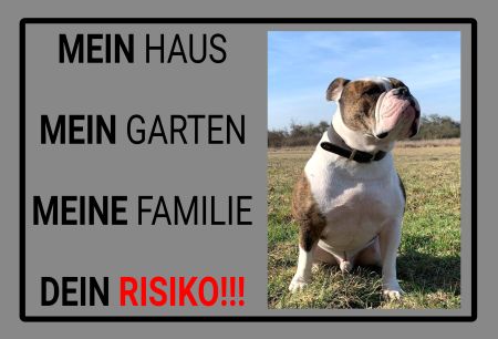 DEIN RISIKO!!! Hunde Schild informativ auffallend nachdrücklich schilder selbst gestalten