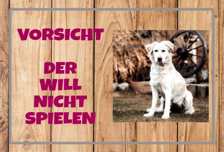 Der will nicht spielen Hunde Schild informativ auffallend nachdrücklich schilder selbst gestalten