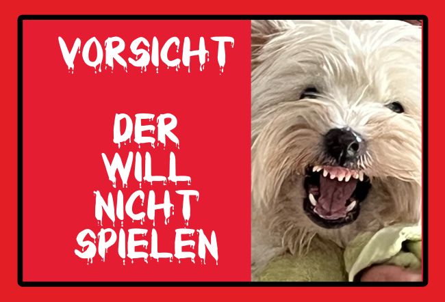 Der will nicht spielen! Hunde Schild spannend informativ auffallend schilder selbst gestalten