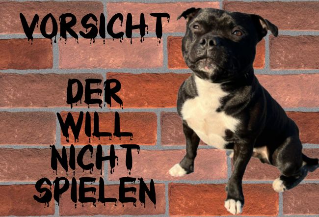 Der willnicht spielen! Hunde Schild smart bunt spritzig informativ auffallend schilder selbst gestalten