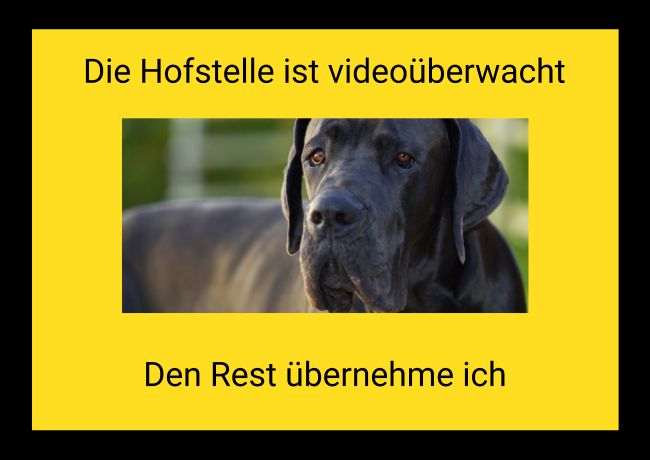 Die Hofstelle ist Videoüberwacht Hunde Schild kreativ spritzig auffallend schilder selbst gestalten