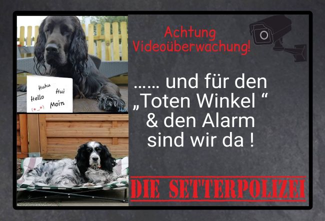 Die Setterpolizei Hunde Schild spannend kreativ informativ auffallend schilder selbst gestalten