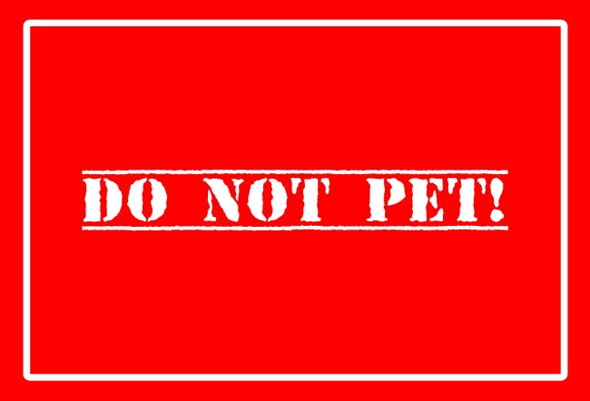 Do Not Pet Hinweis Schild informativ schilder selbst gestalten