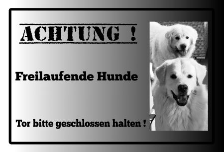 Freilaufende Hunde Hunde Schild smart kreativ spritzig schilder selbst gestalten