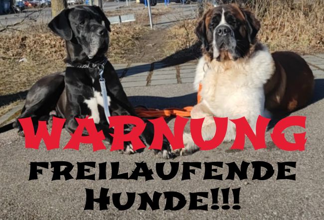 Freilaufende Hunde Hunde Schild smart bunt auffallend schilder selbst gestalten