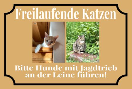 Freilaufende Katzen Katzen Schild bunt informativ auffallend schilder selbst gestalten