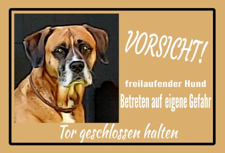 Freilaufender Hund Hunde Schild spannend kreativ informativ auffallend schilder selbst gestalten