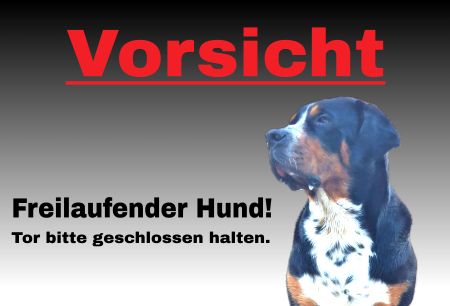 Freilaufender Hund! Hunde Schild kreativ informativ auffallend schilder selbst gestalten