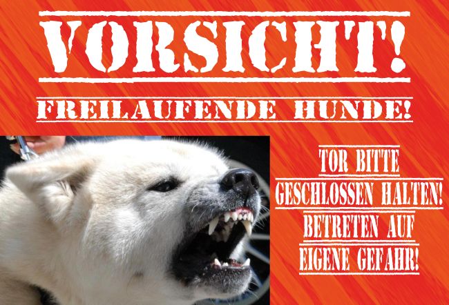 Freilaufender Hund Hunde Schild spannend kreativ auffallend nachdrücklich schilder selbst gestalten