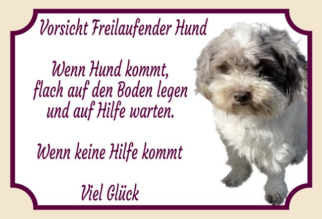 Freilaufender Hund Hunde Schild smart informativ schilder selbst gestalten