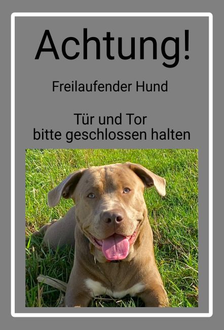 Freilaufender Hund Hunde Schild smart auffallend schilder selbst gestalten