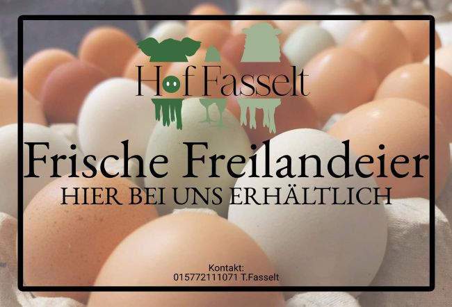 Frische Freilandeier Firma Schild smart spritzig informativ auffallend schilder selbst gestalten