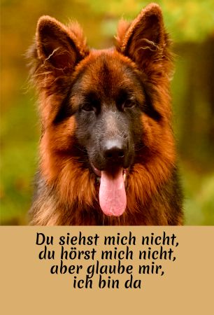 Glaube mir  ich bin da Hunde Schild spannend informativ auffallend schilder selbst gestalten