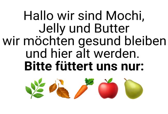 Hallo wir sind Mochi  Jelly und Butter. Hinweis Schild spannend bunt kreativ spritzig auffallend schilder selbst gestalten