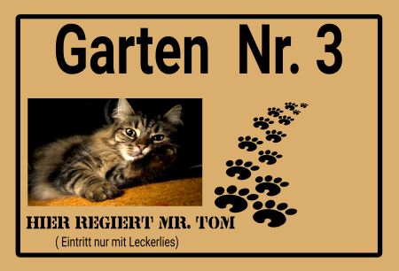 Hier regiert Mr. Tom Katzen Schild bunt kreativ informativ auffallend schilder selbst gestalten