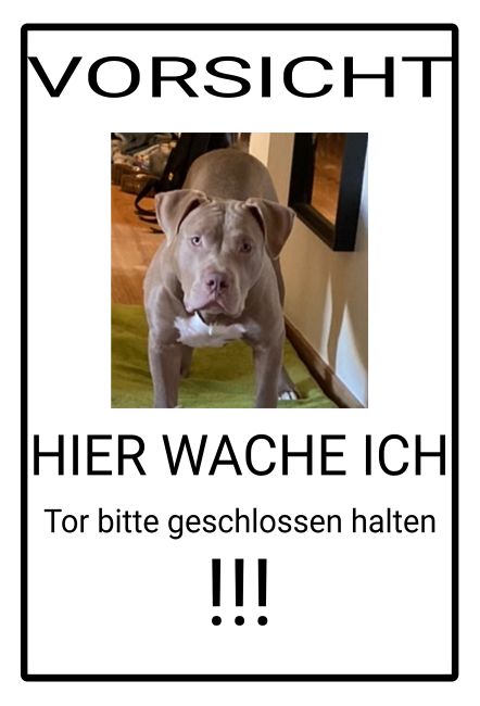 Hier wache ich Hunde Schild spritzig informativ schilder selbst gestalten