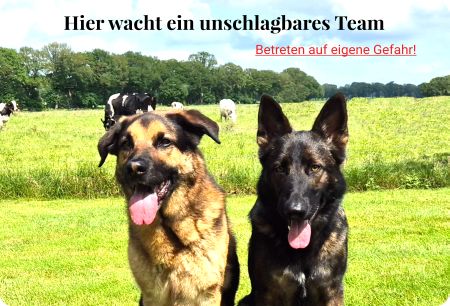 Hier wacht ein unschlagbares Team Hunde Schild smart bunt informativ auffallend schilder selbst gestalten