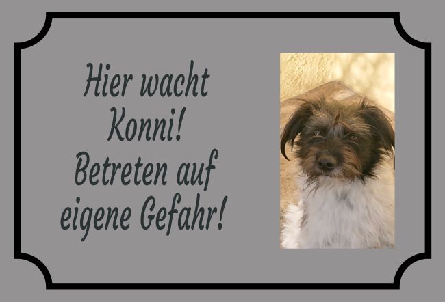 Hier wacht Konni! Hunde Schild smart auffallend schilder selbst gestalten