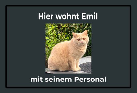 Hier wohnt Emil Katzen Schild spannend informativ auffallend schilder selbst gestalten