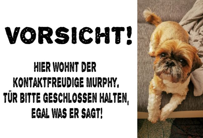 Hier wohnt Murphy Hunde Schild smart bunt kreativ schilder selbst gestalten