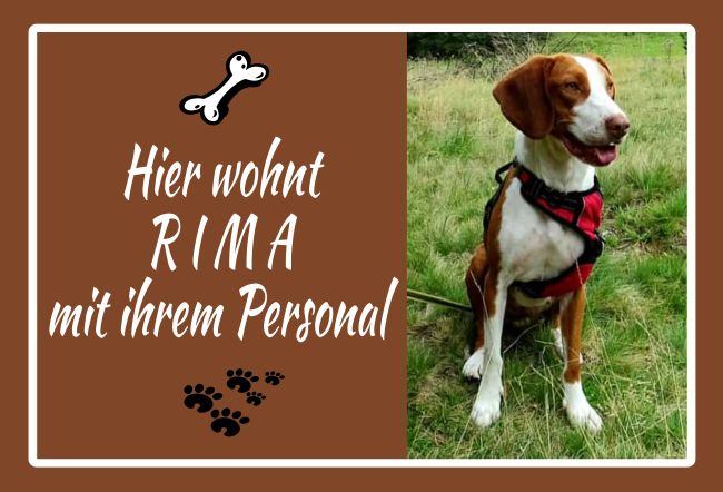 Hier wohnt RIMA Hunde Schild smart spritzig informativ auffallend schilder selbst gestalten