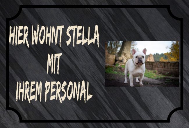 Hier wohnt Stella Hunde Schild smart kreativ schilder selbst gestalten