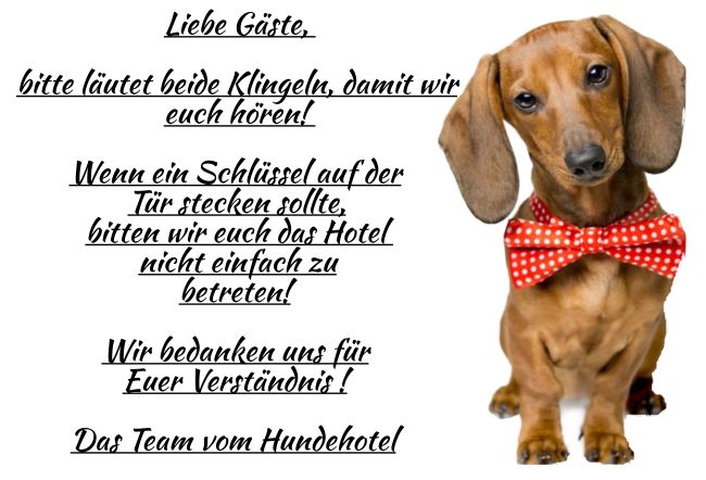 Hundehotel Hinweis Schild smart spritzig informativ auffallend schilder selbst gestalten