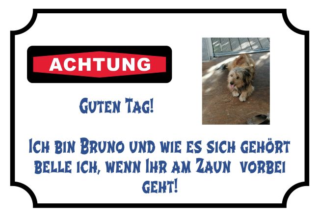 Hundeschild Bello Warnung-Zutrittverboten Schild kreativ informativ auffallend lustig schilder selbst gestalten