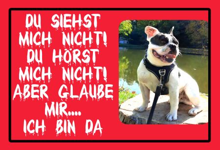 ICH BIN DA..... Hunde Schild smart bunt auffallend schilder selbst gestalten