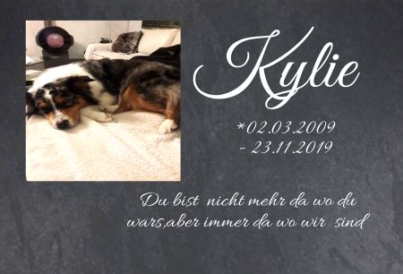 Kylie Gedenktafel Schild smart kreativ informativ schilder selbst gestalten