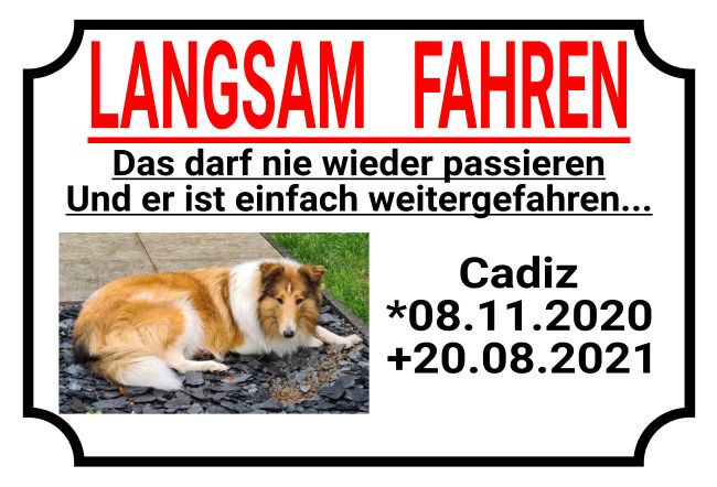 Langsam fahren Hunde Schild informativ nachdrücklich schilder selbst gestalten