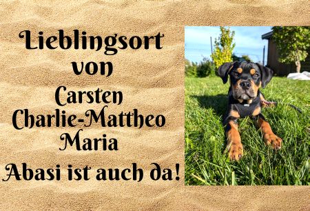 Lieblingsort Hunde Schild bunt kreativ informativ auffallend schilder selbst gestalten