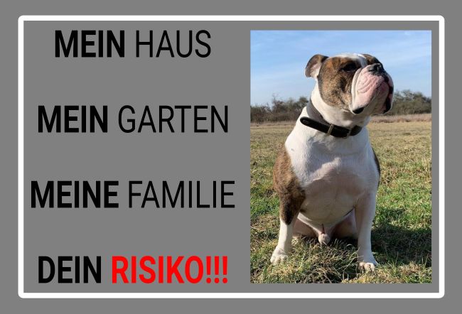 MEIN HAUS Hunde Schild spannend informativ auffallend schilder selbst gestalten