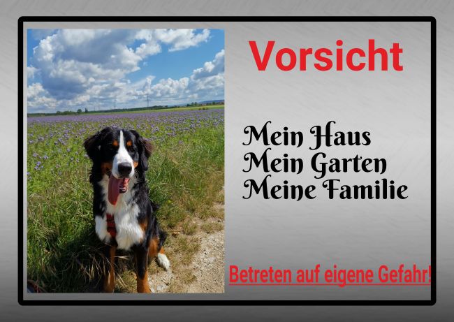 Mein Haus  mein Garten  ... Hunde Schild smart kreativ spritzig schilder selbst gestalten